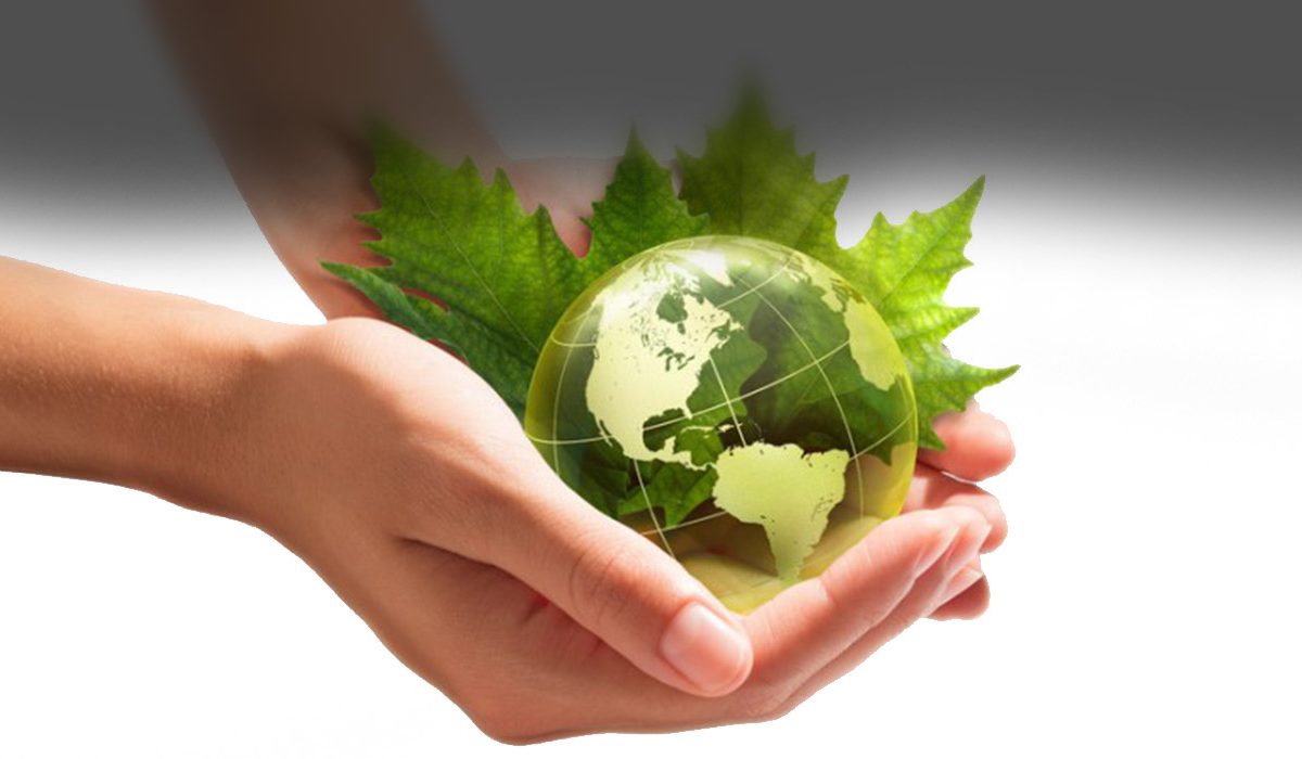 6.	Mise en place du Réseau Climat &Développement Guinée (RC&DG)