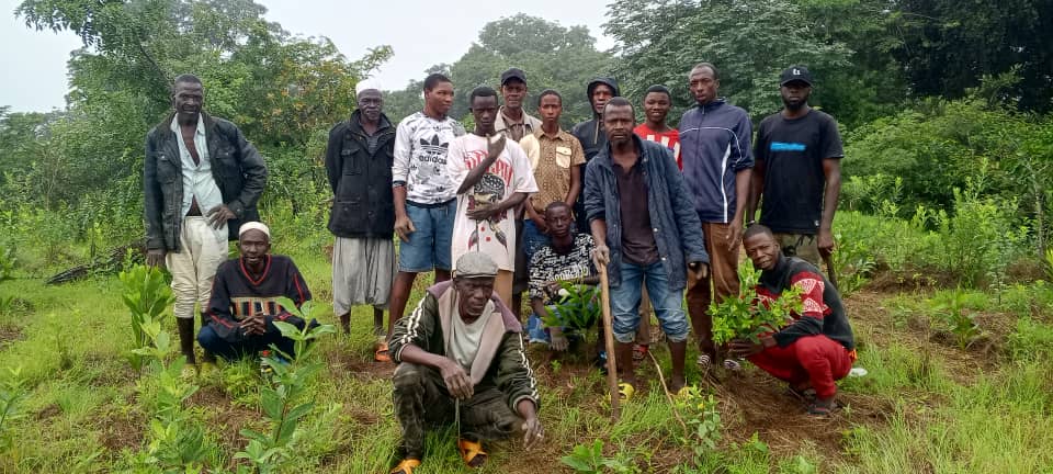 Bantignel : 1700 arbres plantés pour protéger les têtes de source avec l’appui de GT2050