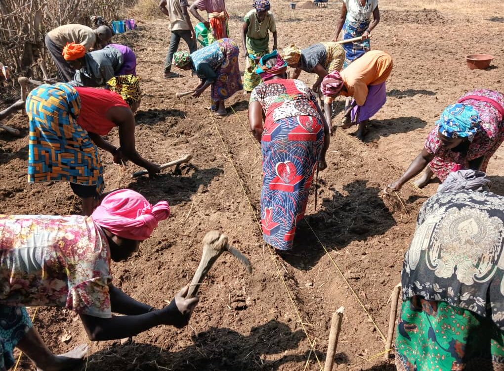 Faranah : Aménagement d’un site de production de pépinière au profit du GIE Sabou Gnouma de Beindou